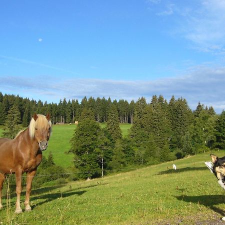 פורטוואנגן Hoehengasthaus Kolmenhof An Der Donauquelle מראה חיצוני תמונה