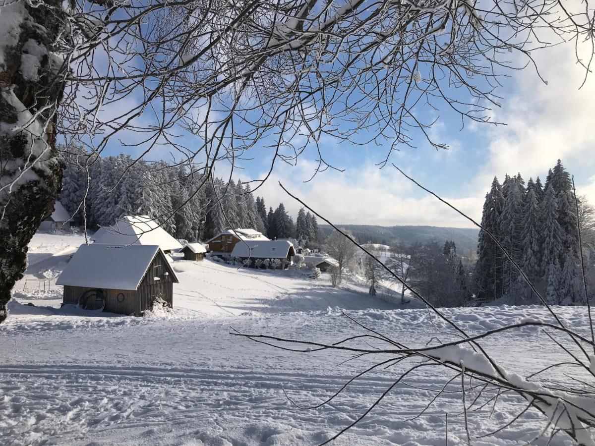 פורטוואנגן Hoehengasthaus Kolmenhof An Der Donauquelle מראה חיצוני תמונה