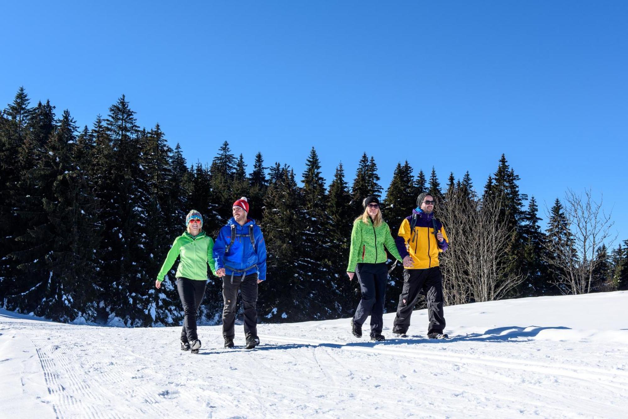 פורטוואנגן Hoehengasthaus Kolmenhof An Der Donauquelle מראה חיצוני תמונה