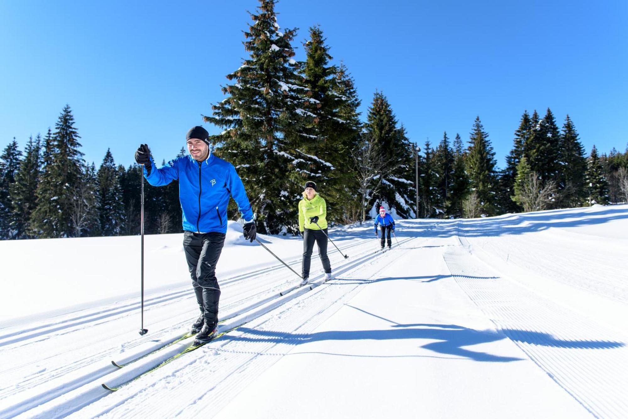 פורטוואנגן Hoehengasthaus Kolmenhof An Der Donauquelle מראה חיצוני תמונה