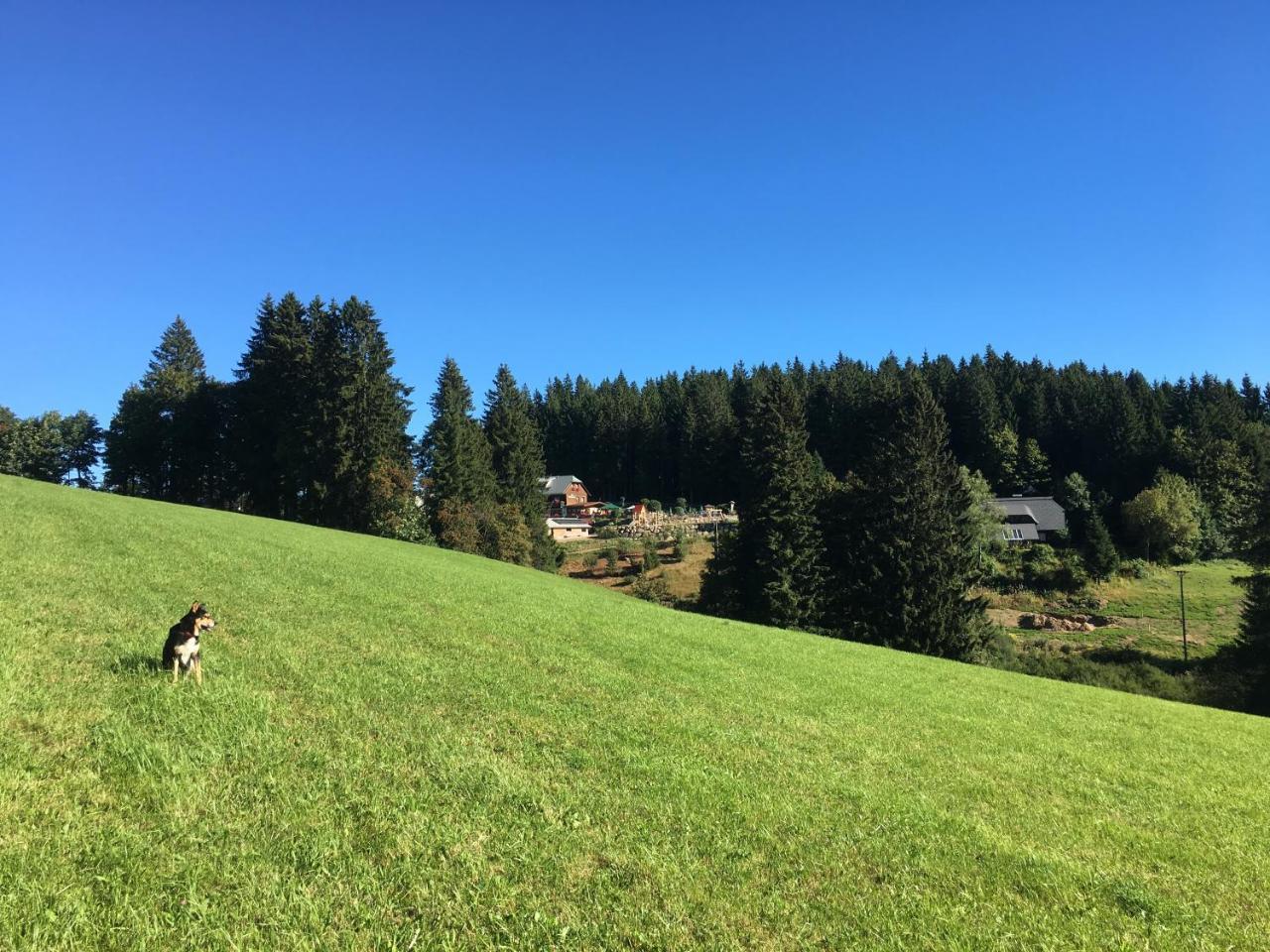 פורטוואנגן Hoehengasthaus Kolmenhof An Der Donauquelle מראה חיצוני תמונה